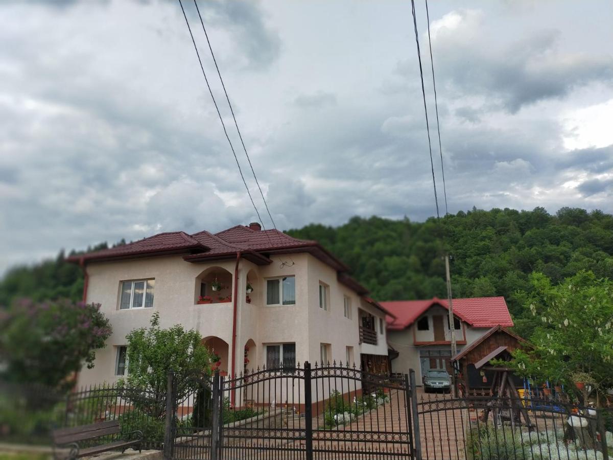 Casa Irina Hotel Manastirea Humorului Luaran gambar